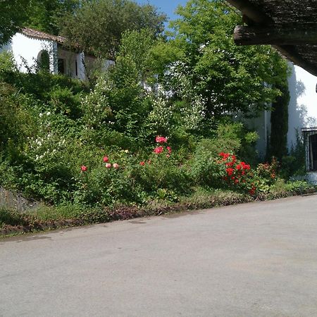 Finca Valbono Apartamentos Rurales Y Hotel アラセナ エクステリア 写真