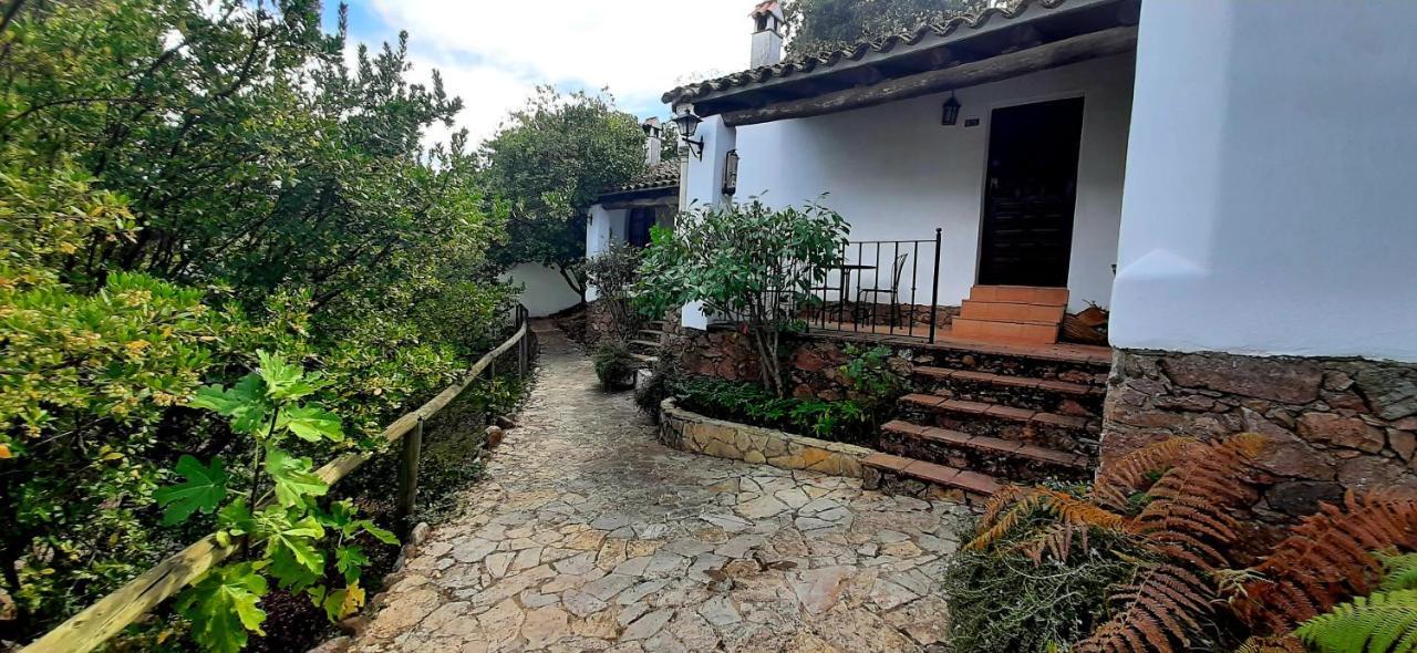 Finca Valbono Apartamentos Rurales Y Hotel アラセナ エクステリア 写真