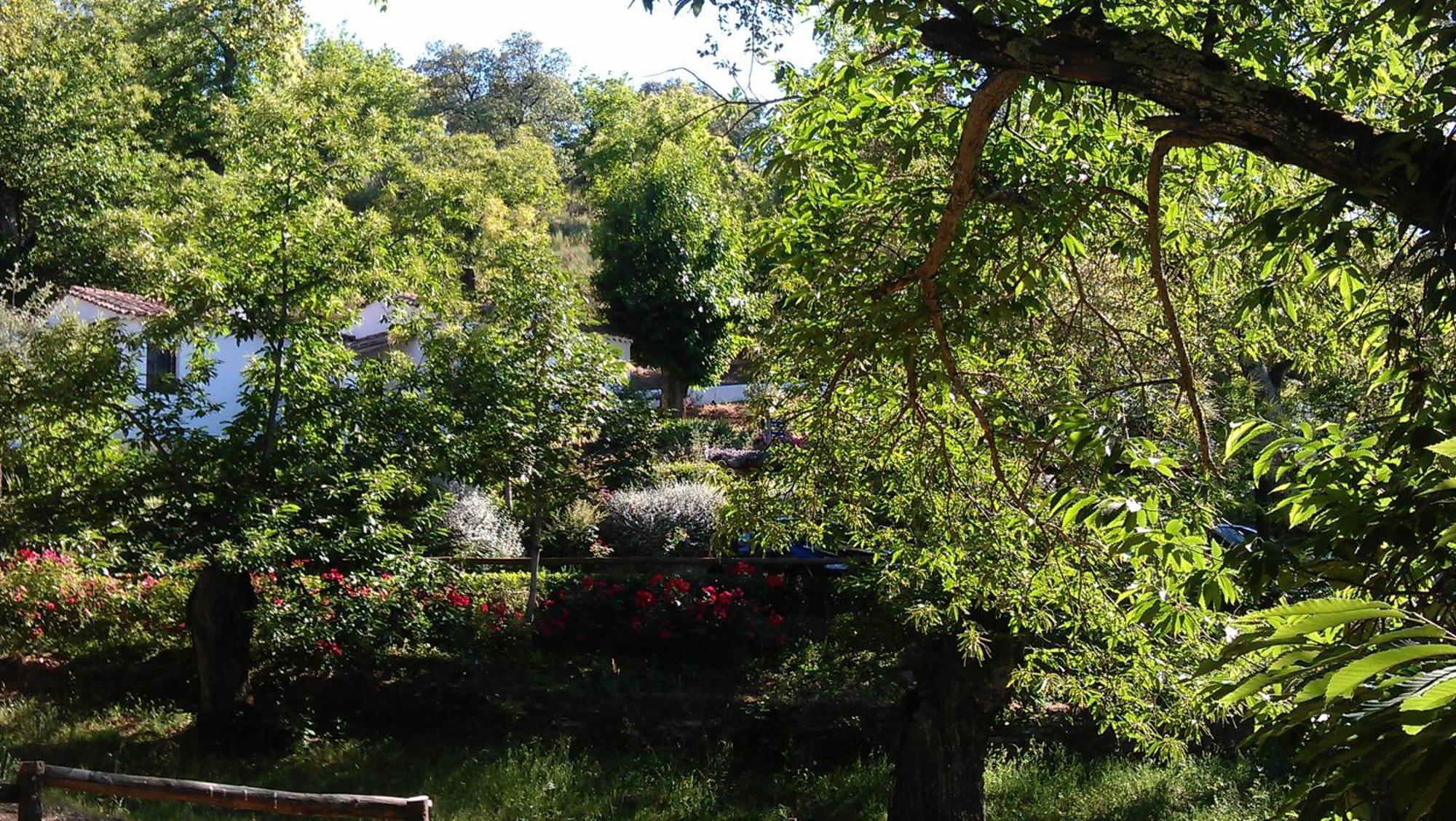 Finca Valbono Apartamentos Rurales Y Hotel アラセナ エクステリア 写真