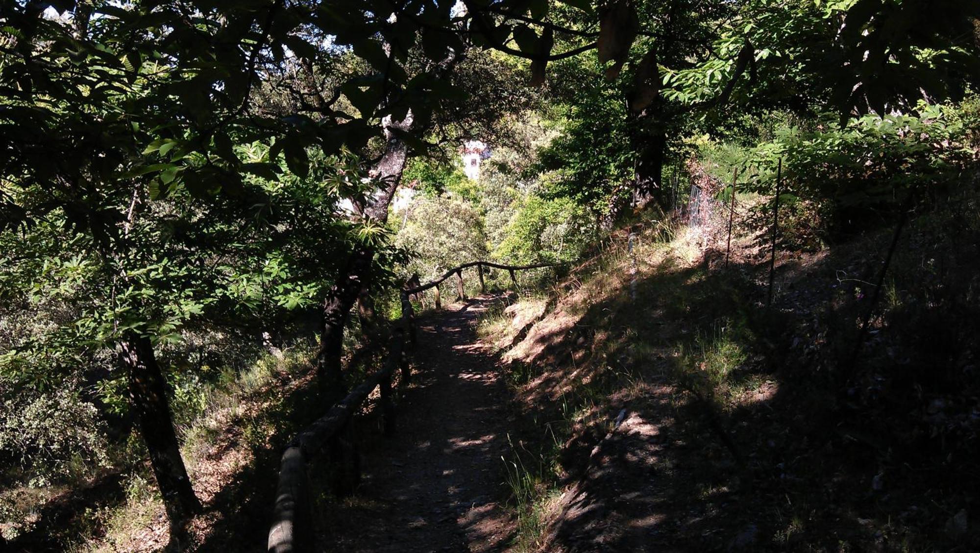 Finca Valbono Apartamentos Rurales Y Hotel アラセナ エクステリア 写真